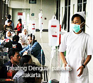 Dengue patients Jakarta